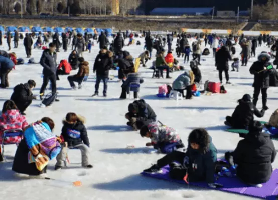 송어 축제 전경