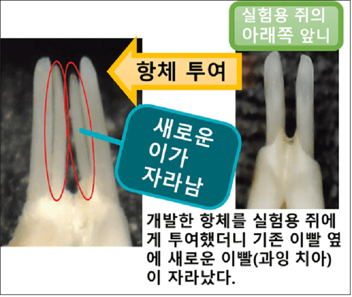 [일본 경제는 지금] 차세대 산업혁명 유망주로 떠오른 바이오테크놀로지