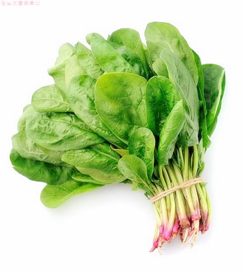 당뇨병 초기증상