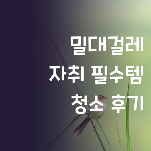 코멧 스프레이 밀대걸레, 자취 필수템..