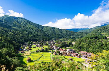 2025년 광주시 농민수당 신청방법