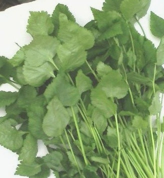 참나물 효능과 부작용 칼로리