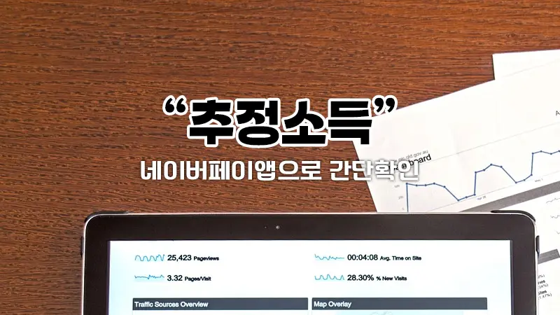 네이버페이 추정소득 확인하는 방법 나이스 지키미