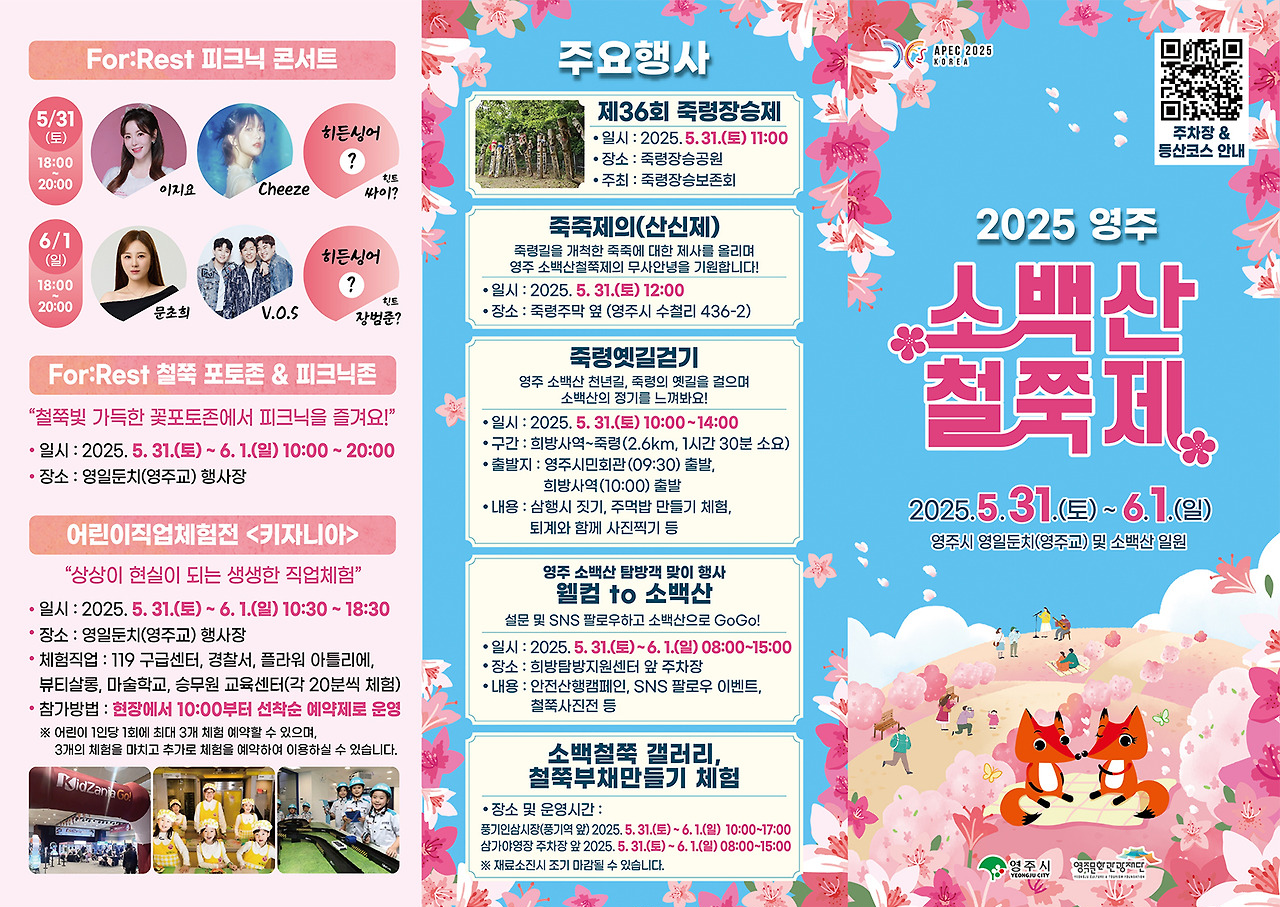 2025 영주 소백산 철쭉제2