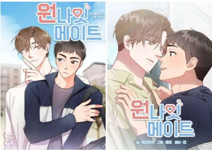 원나잇메이트