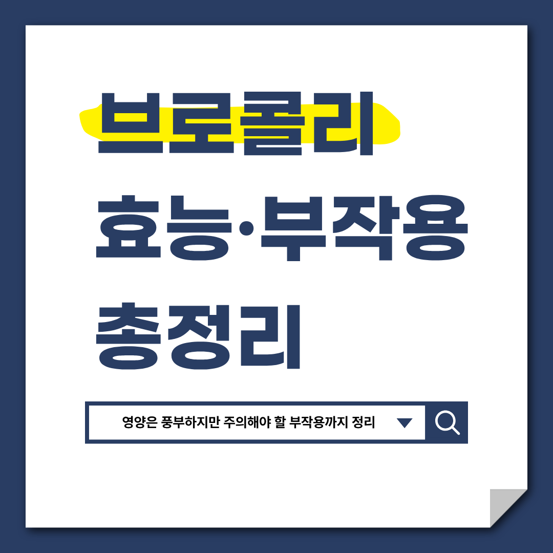 브로콜리 효능 부작용
