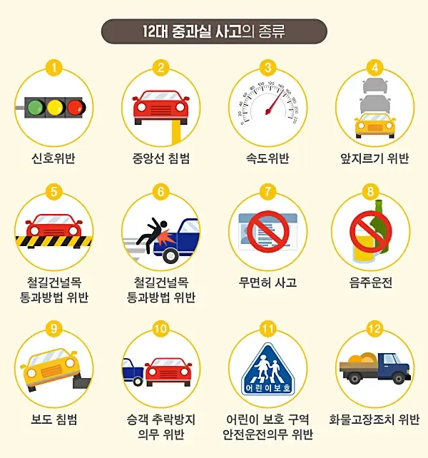 12대-중과실-교통사고-항목