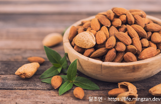 아몬드는 오히려 다이어트에 효과가 있었다
