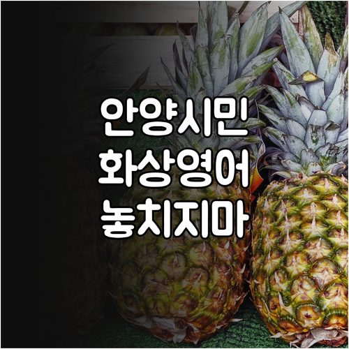 2025 안양시 원어민 화상영어: 비..