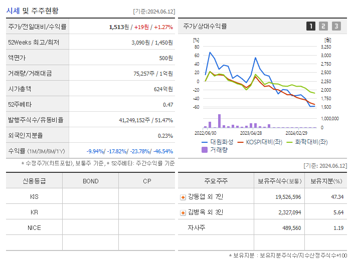 대원화성_기업개요