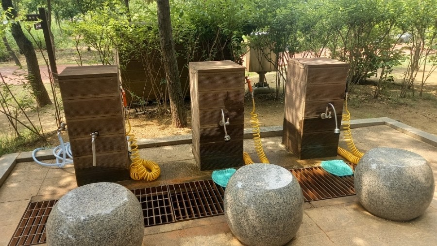 자연 속 힐링! 안동 천년숲 황토길 맨발걷기 체험 후기 관련 사진