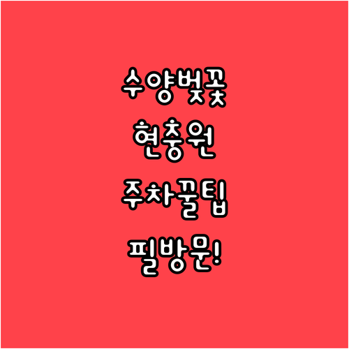 서초구 수양벚꽃 명소 국립현충원 방문..