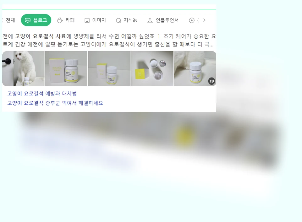 고양이 요로결석 사료_1_subsection