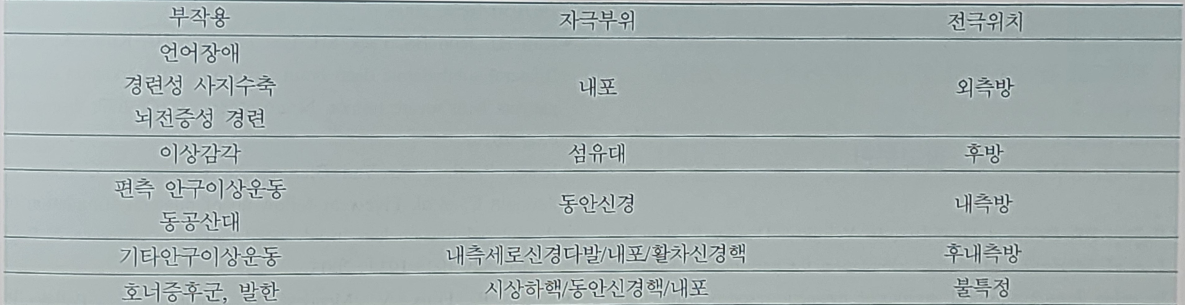 파킨슨 환자의 DBS