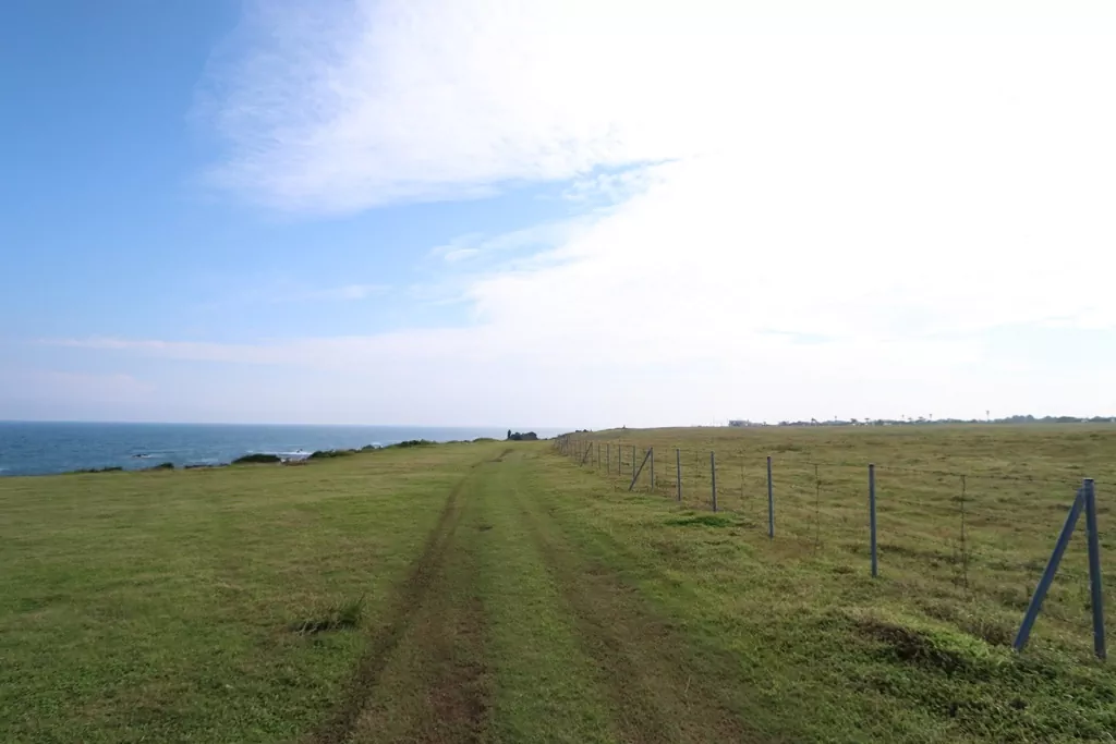 제주 올레길 3코스 최고의 비경으로 꼽히는 신풍신천 바다목장의 해안선 풍경 모습 사진.