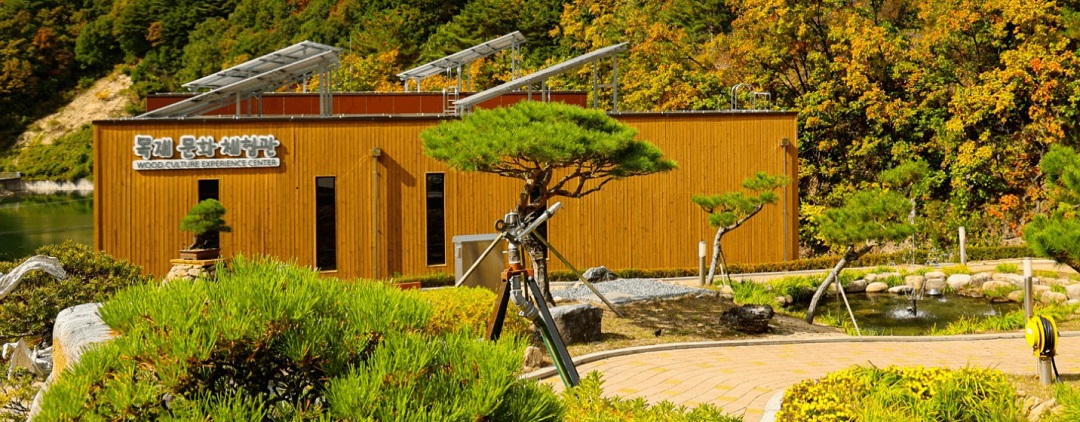 양구수목원