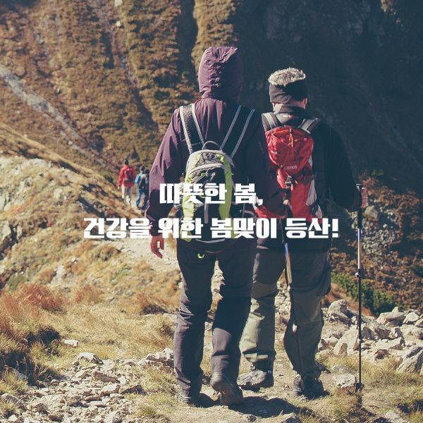 따뜻한 봄&#44; 건강을 위한 봄맞이 등산!