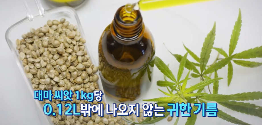 대마종자유