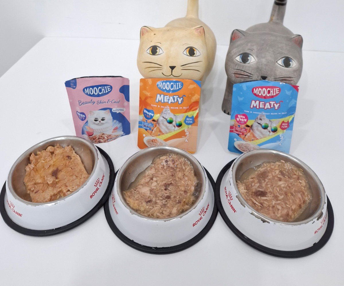 moochie 간식의 형태
젤리 형식의 액상고형으로 되어 있어요