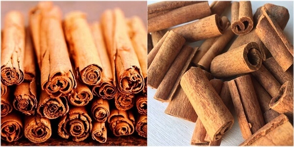 계피 효능