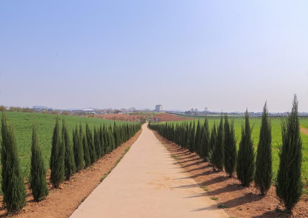 농협안성팜랜드 블루애로우가로수길