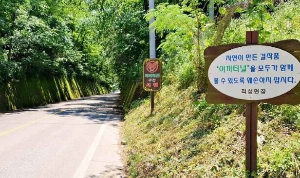 단양 가볼만한곳 베스트 10