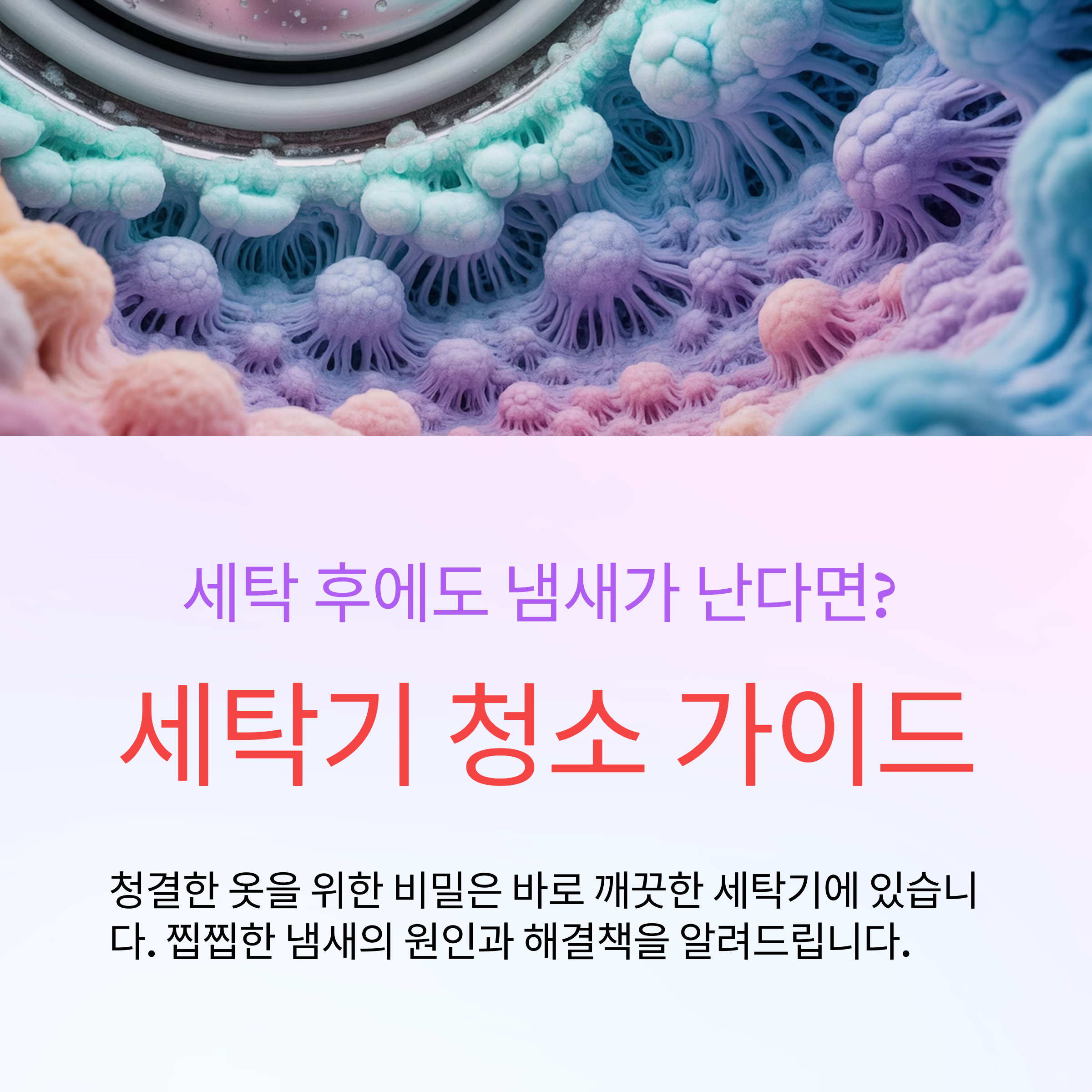 세탁기 청소 완벽 가이드