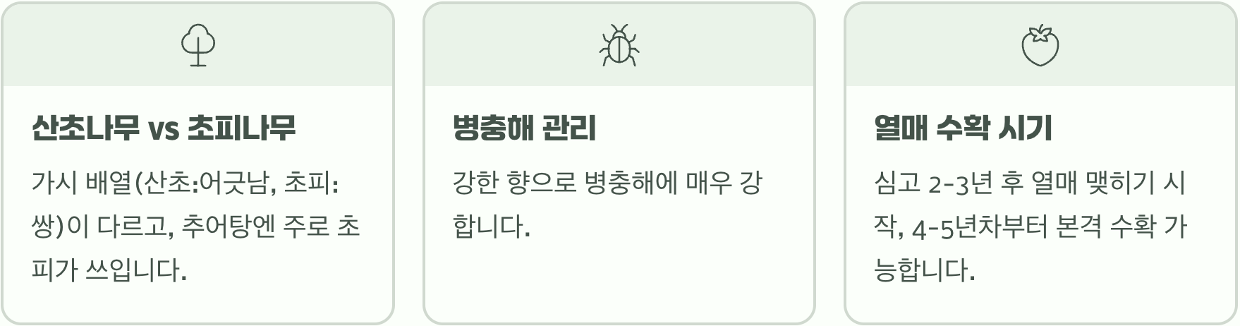 산초나무 키우기 A to Z (묘목 심기부터 열매 수확까지)