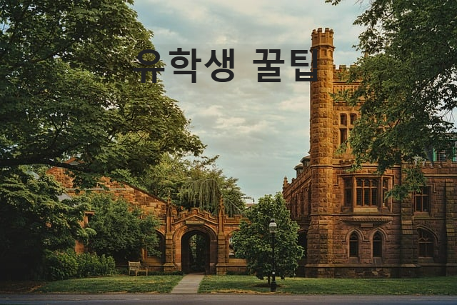 유학생이 꼭 알아야 할 꿀팁