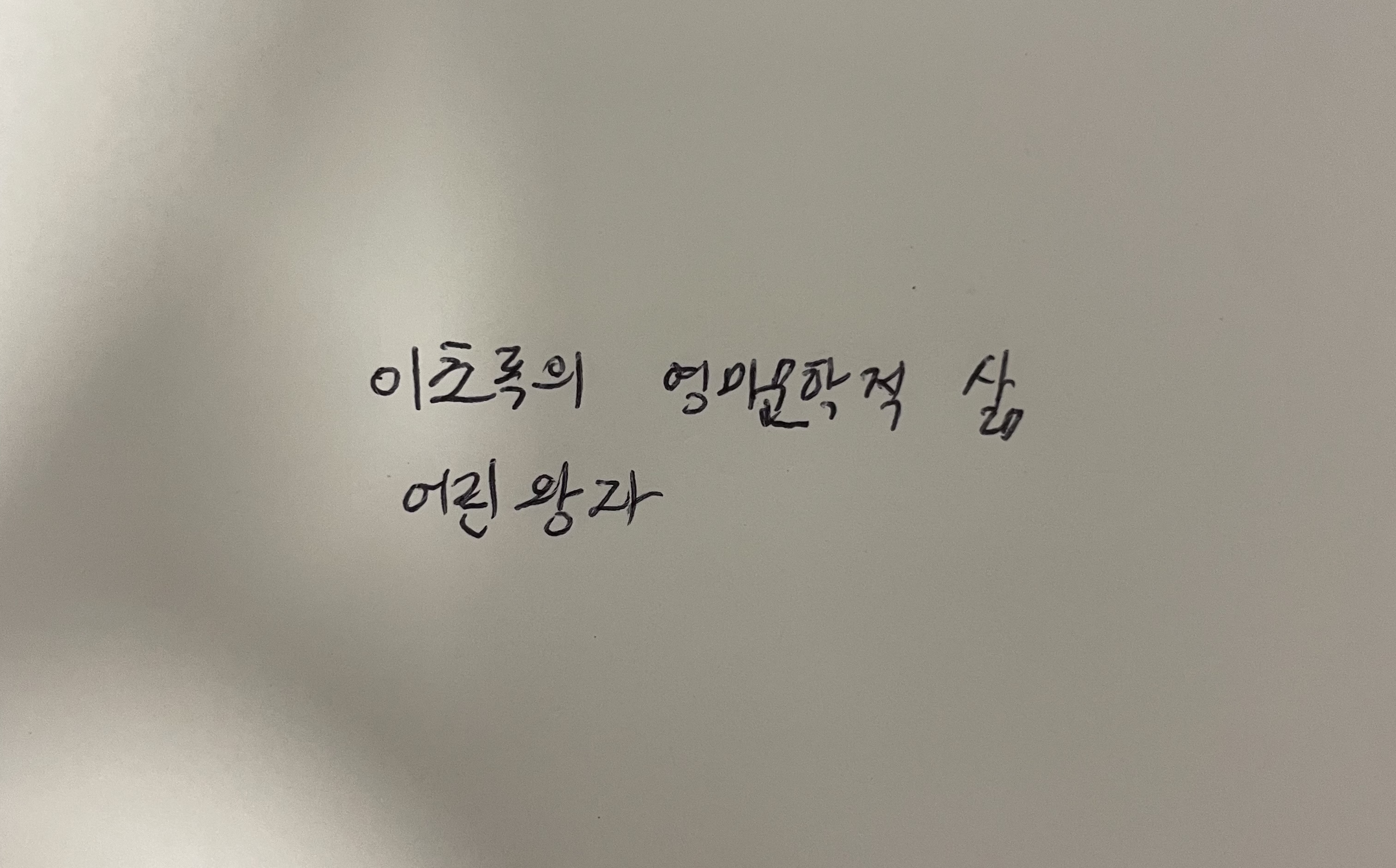 이초록의 영미문학적 삶-어린왕자 앙투안 드 셍텍쥐베리 손글씨