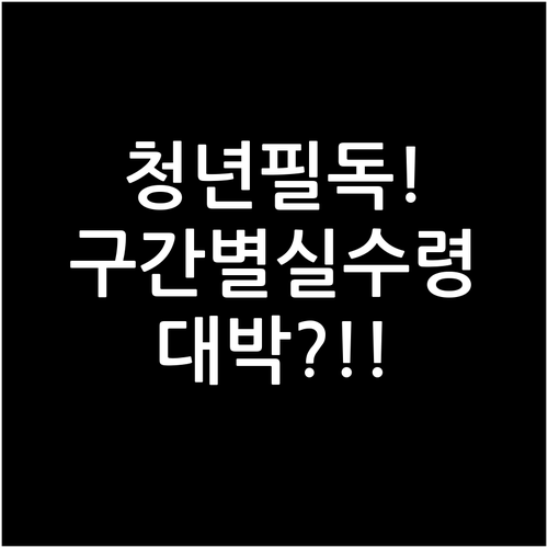 2026 청년미래적금 소득 구간별 실..