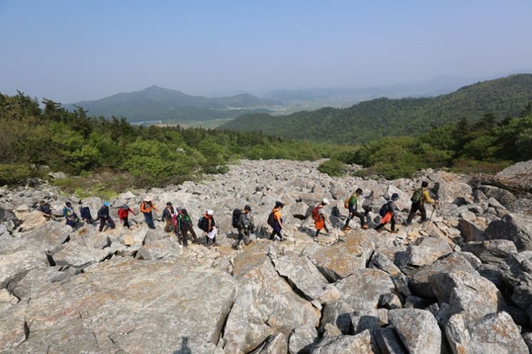 해남절임배추