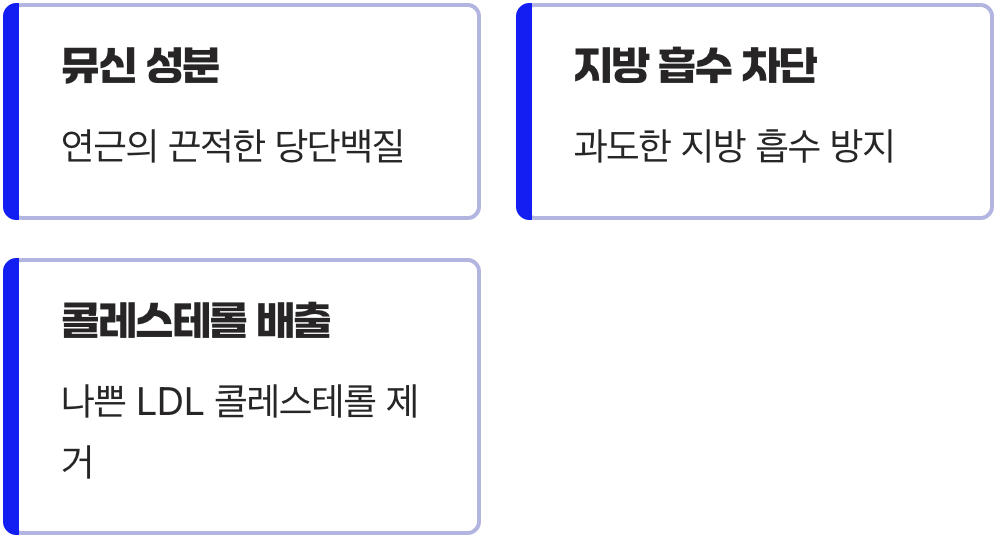 끈적임 속에 숨은 혈관 청소의 비밀