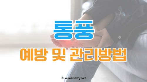 통풍 예방 및 관리 방법