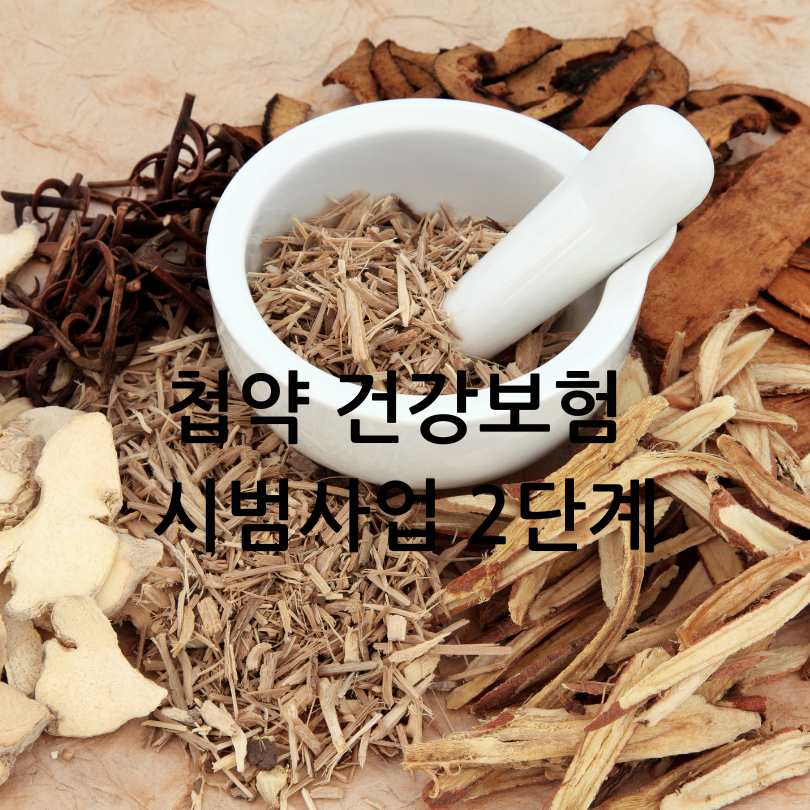 첩약 건강보험 시범사업 2단계
