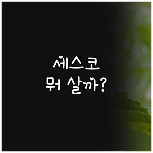세스코 판테온 공기청정기 추천 및 비..
