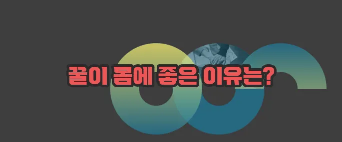 꿀의 효능 자세히 알아볼게요