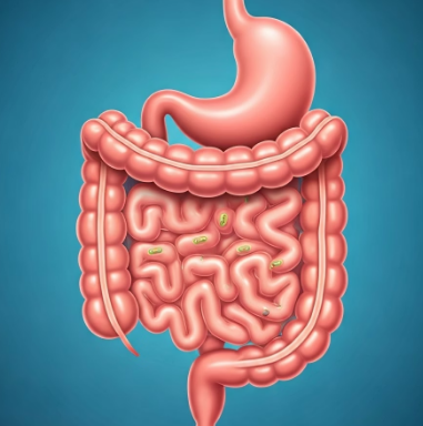 파비플로라 효능