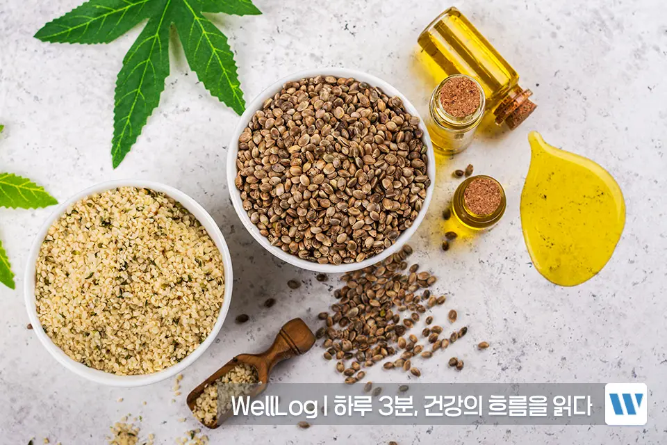 햄프씨드 효능 단백질 오메가3 항산화