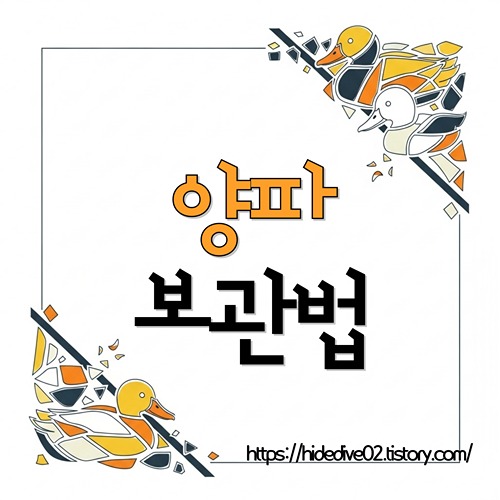 양파 보관법과 껍질차까지 알아보는 황금오리