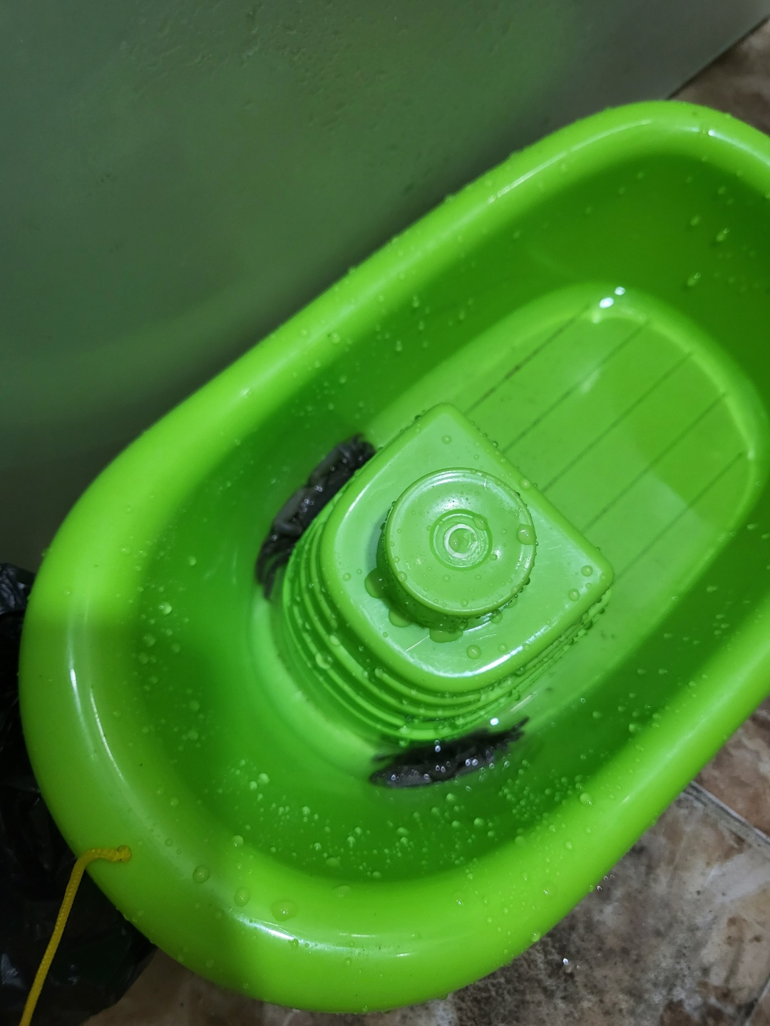 서천 갯벌체험&amp;#44; 모시조개 캐기 (서천송림갯벌체험장)