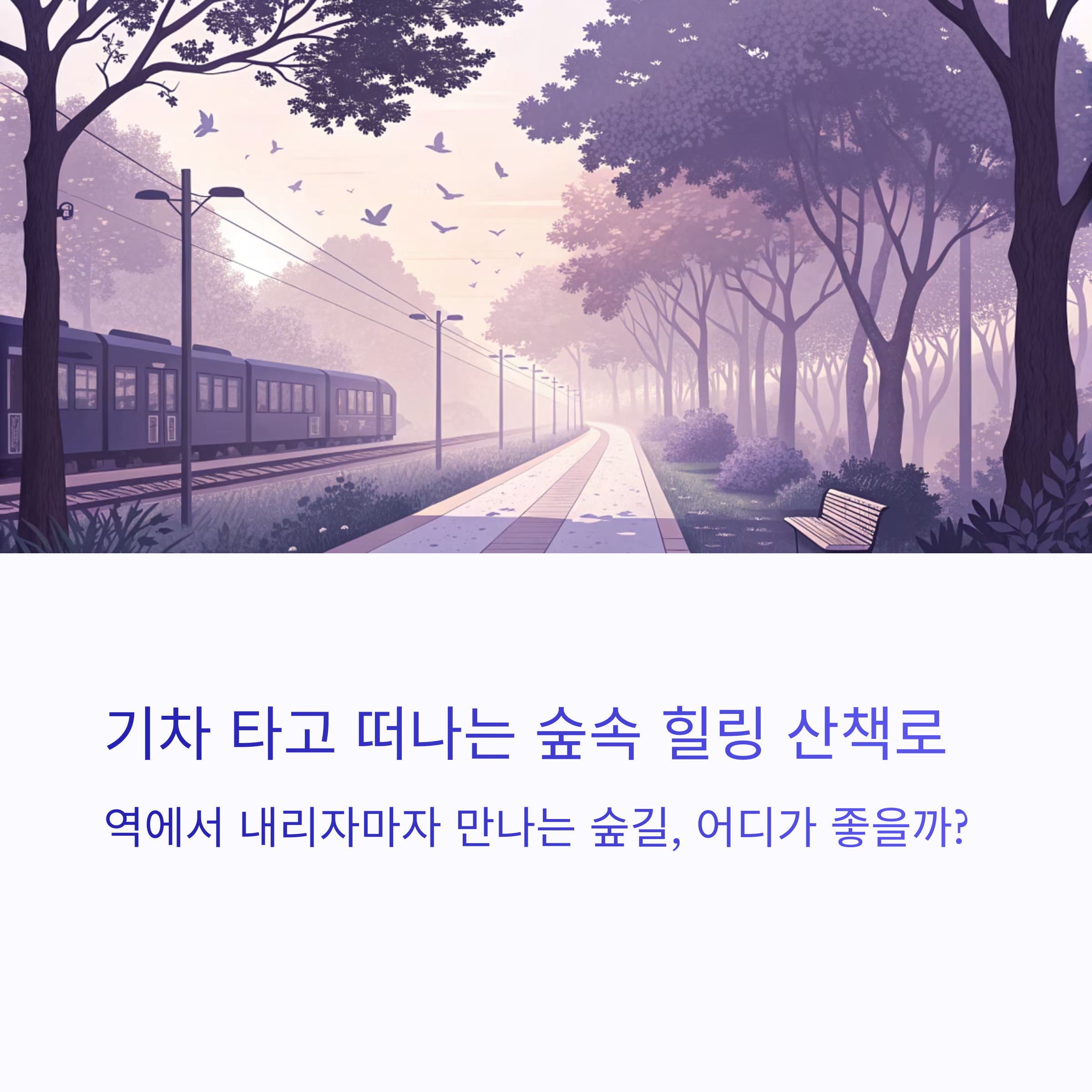 숲속 힐링 산책로