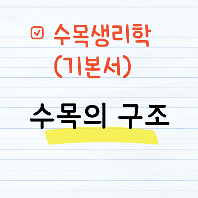 기본서 - 수목의 구조