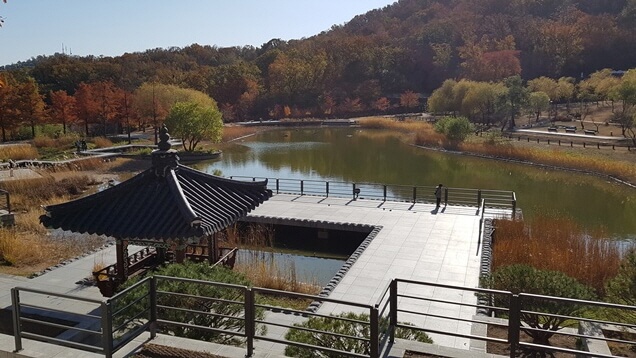 도심 속 단풍과 힐링, 반려견과 함께 떠나는 서울 가을산책 명소 추천