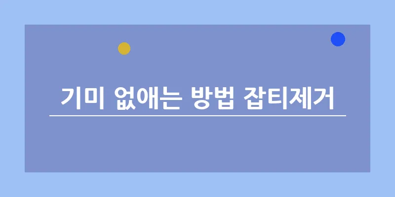 기미 없애는 방법 잡티제거_10