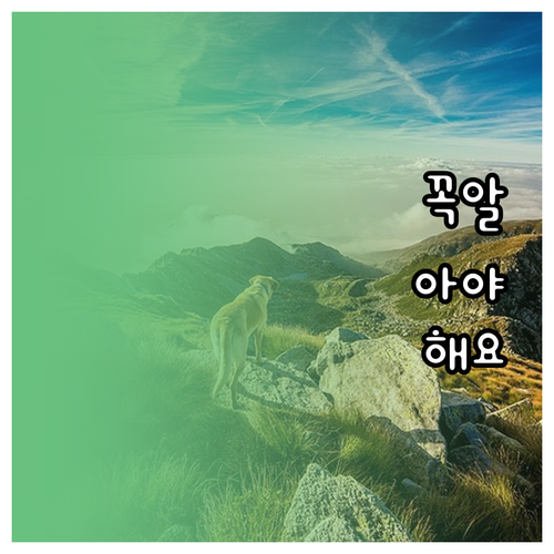 우리아기 숙면 비결 수면 루틴 시작 ..
