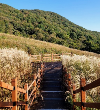 11월 국내여행지 추천 BEST 10