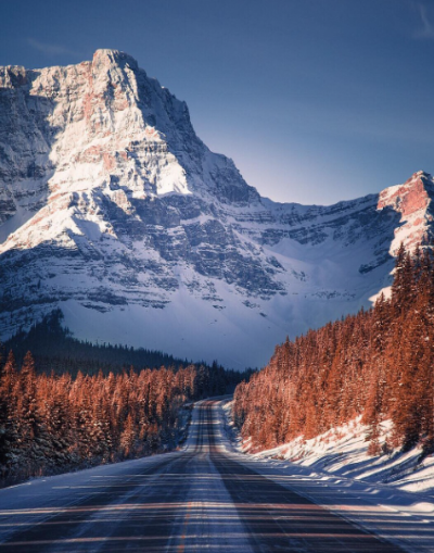 캐나다 신혼여행