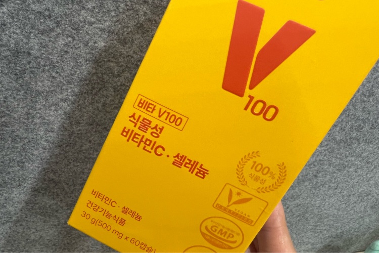 비타민C의 기초