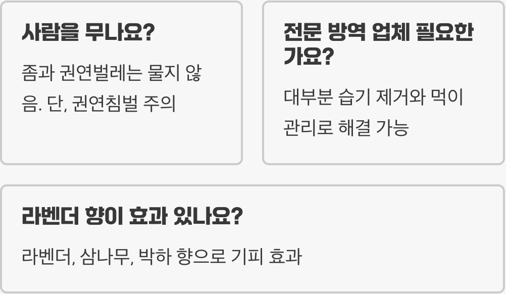 좀벌레 뜻과 특징 총정리 – 집안에서 자주 보이는 생활 해충 정리